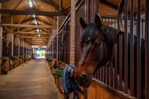 Custom horse barn designs by Heart of Texas Construction in Texas