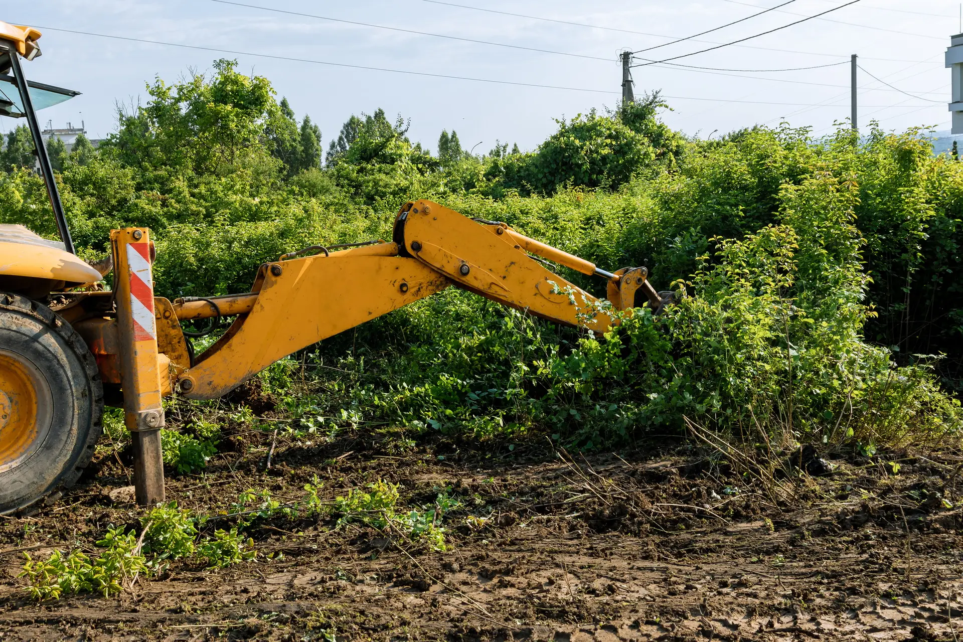 Excavator clearing overgrown bushes and trees to prepare land for construction by Heart of Texas Construction LLC.