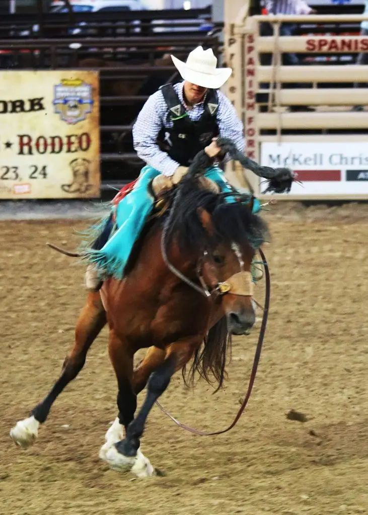 Custom roping arenas built in Texas by Heart of Texas Construction
