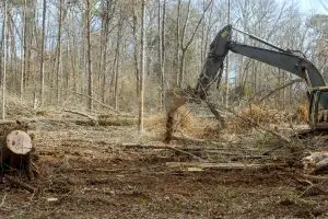 Land being cleared for barndominium construction in Texas