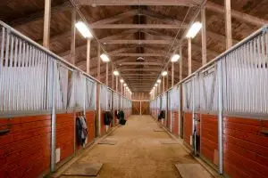Well-ventilated horse barn with effective drainage system for Texas climate.
